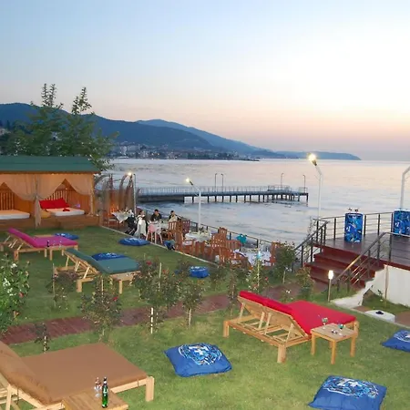 Grand Koru Yalova (Yalova)