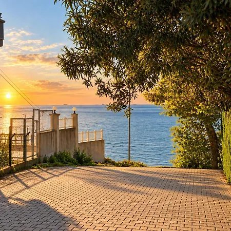 Grand Koru Yalova (Yalova)